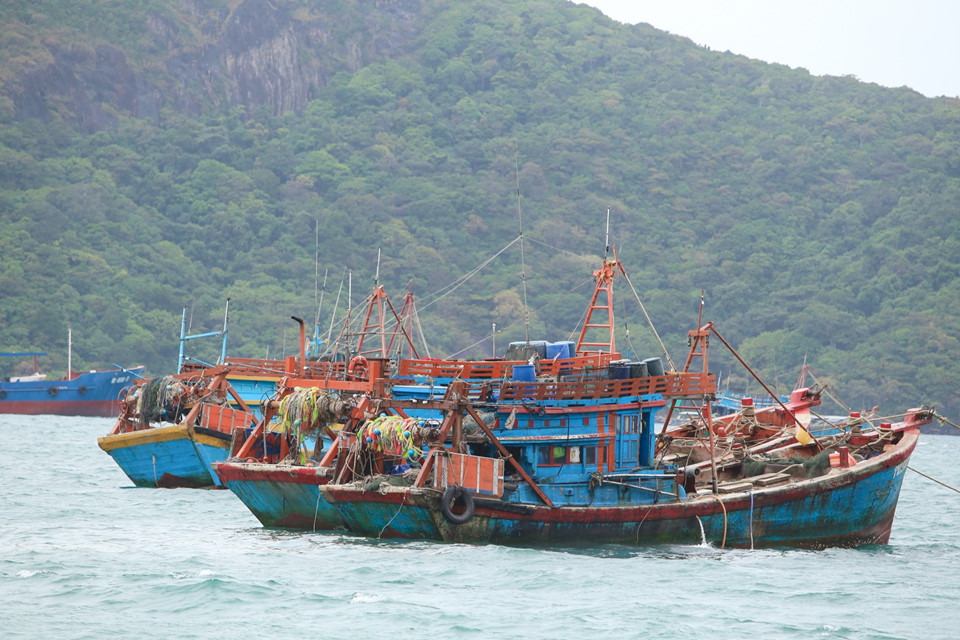 Chiều nay bão số 16 - Tembin đổ bộ, Côn Đảo cấp tập di dân